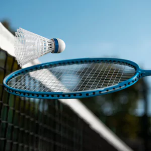 AIPL Lake City Amenities - Badminton Court